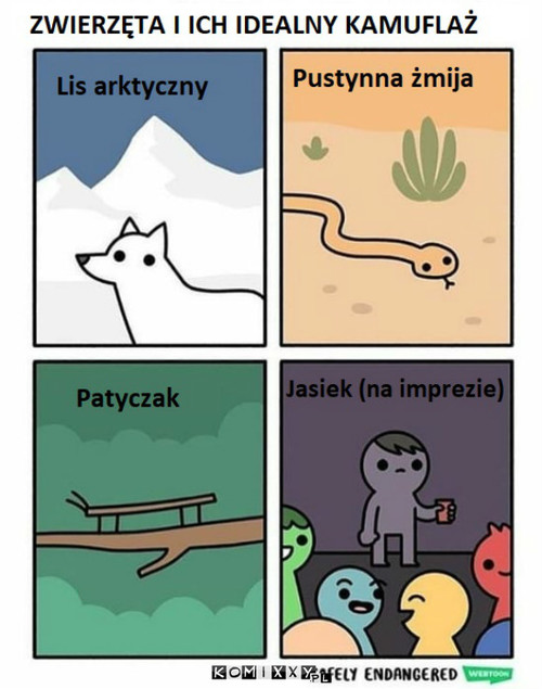 Kamuflaż –  