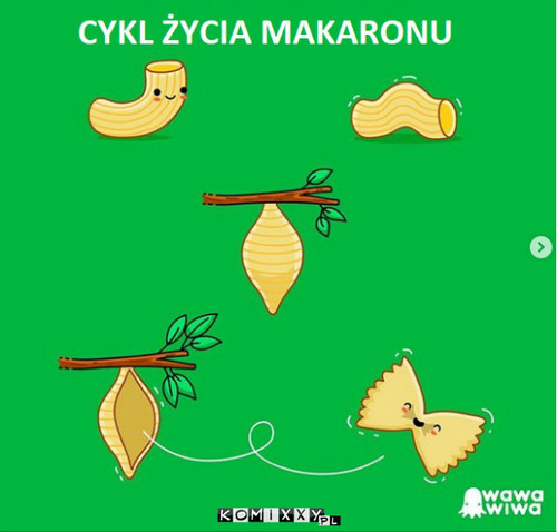 Cykl życia –  