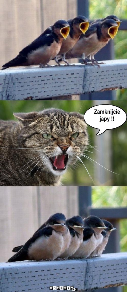 Ciii – Zamknijcie
japy !! 