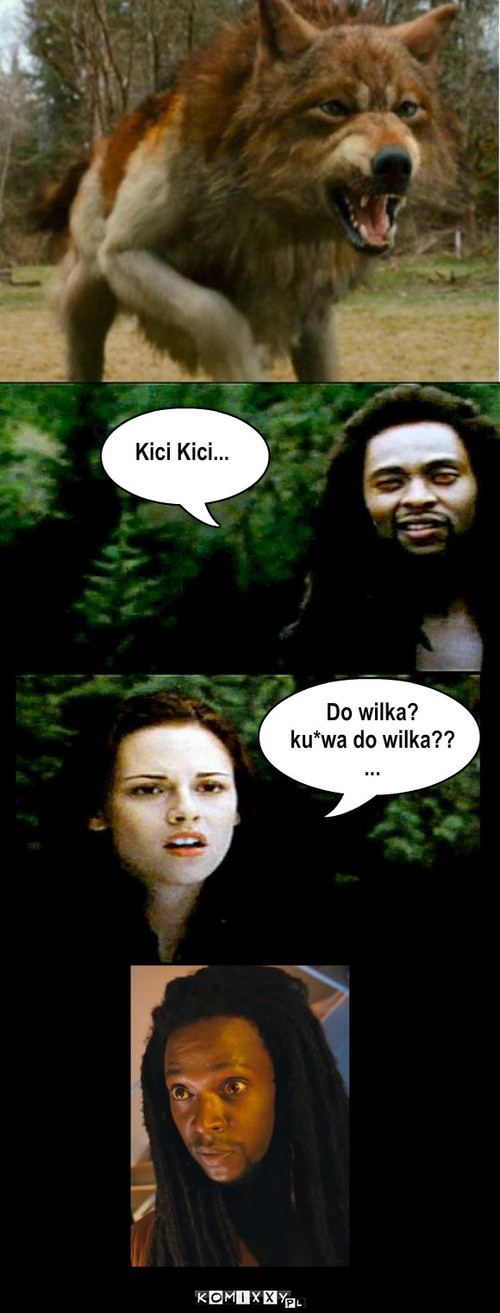 Kici kici – Kici Kici... Do wilka?
ku*wa do wilka??
... 