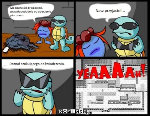 Pokemon –  