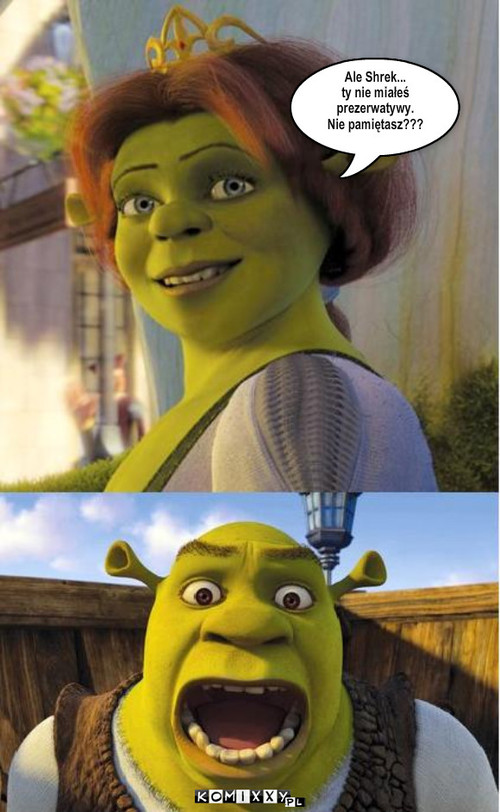 W odwiedziny – Ale Shrek...
ty nie miałeś 
prezerwatywy. 
Nie pamiętasz??? 