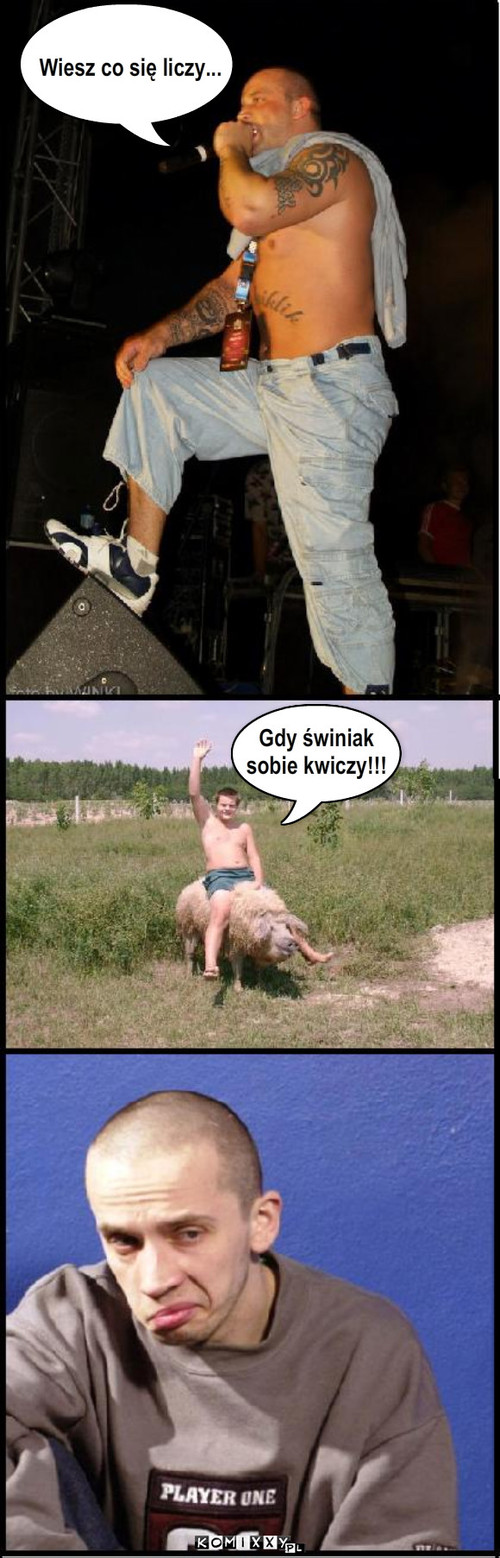 Wiesz co sie liczy Gdy swiniak 
sobie kwiczy – Wiesz co się liczy... Gdy świniak 
sobie kwiczy!!! 