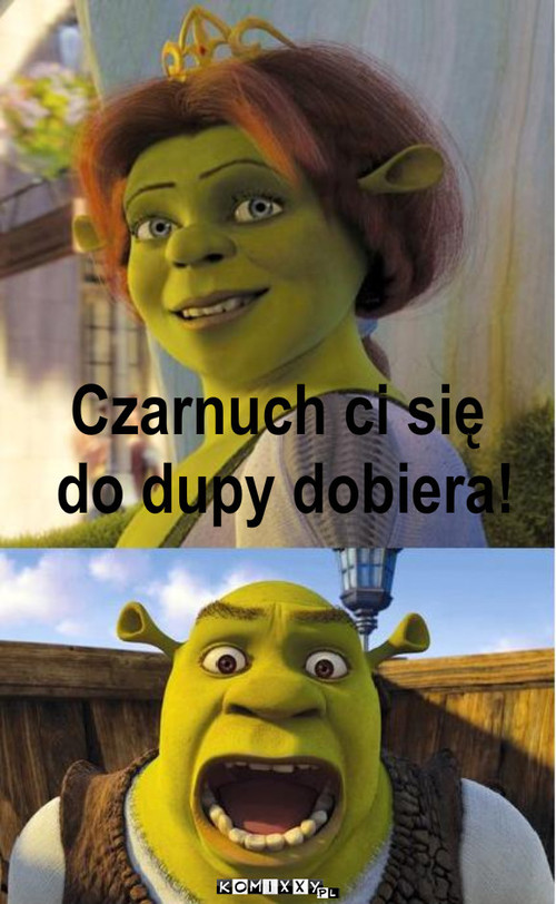 Czarnuch ci sie
 do dupy dobiera – Czarnuch ci się
 do dupy dobiera! 