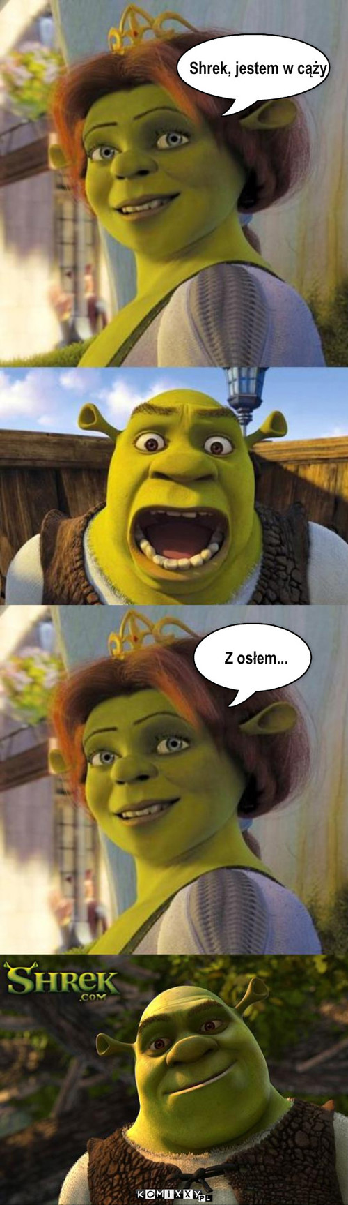 Ciąża – Shrek, jestem w cąży Z osłem... 