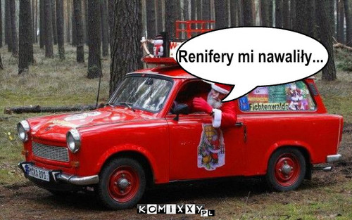 Renifery  – Renifery mi nawaliły... 