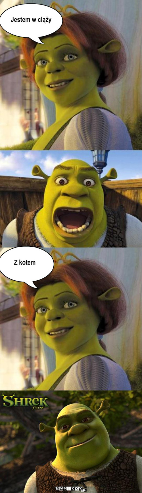 Jestem w ciazy Z kotem – Jestem w ciąży Z kotem 