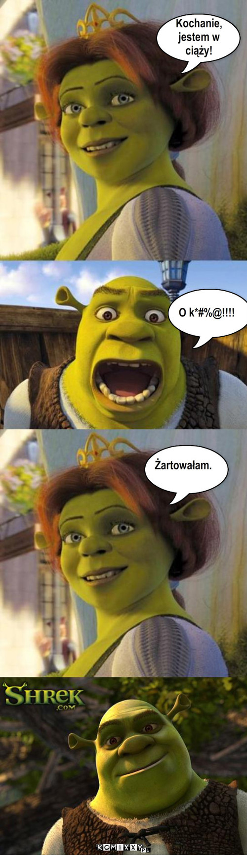 Kochanie
jestem w 
ciazy O k* @ Zartowalam. – Kochanie,
jestem w 
ciąży! O k*#%@!!!! Żartowałam. 