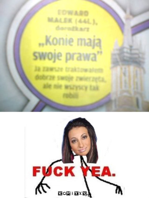 Konie mająswoje prawa –  