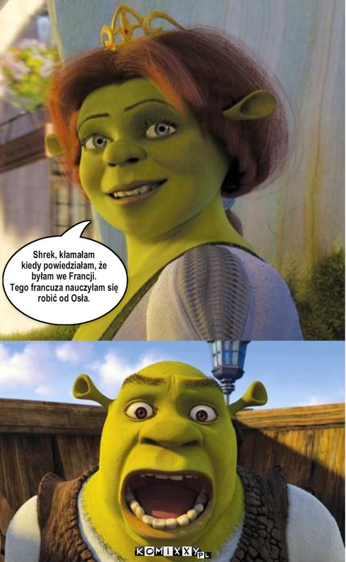 Shrek, kłamałam
kiedy powiedziałam, ... – Shrek, kłamałam
kiedy powiedziałam, że
byłam we Francji. 
Tego francuza nauczyłam się
robić od Osła. 