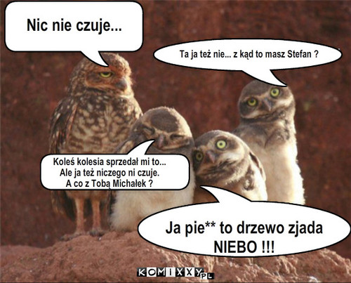 Upalone sufki – Nic nie czuje... Ta ja też nie... z kąd to masz Stefan ? Koleś kolesia sprzedał mi to... 
Ale ja też niczego ni czuje.
A co z Tobą Michałek ? Ja pie** to drzewo zjada
NIEBO !!! 