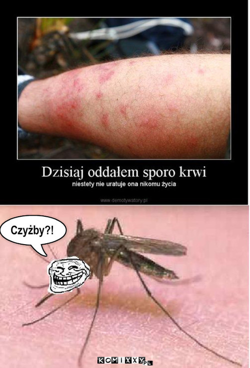 Czyżby?! – Czyżby?! 