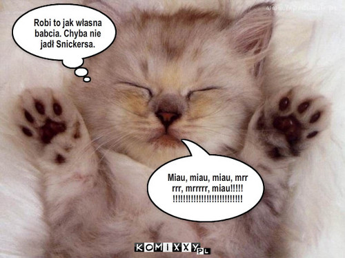 Kocie piesczoty – Miau, miau, miau, mrr
rrr, mrrrrr, miau!!!!!
!!!!!!!!!!!!!!!!!!!!!!!!!!! Robi to jak własna
babcia. Chyba nie
jadł Snickersa. 