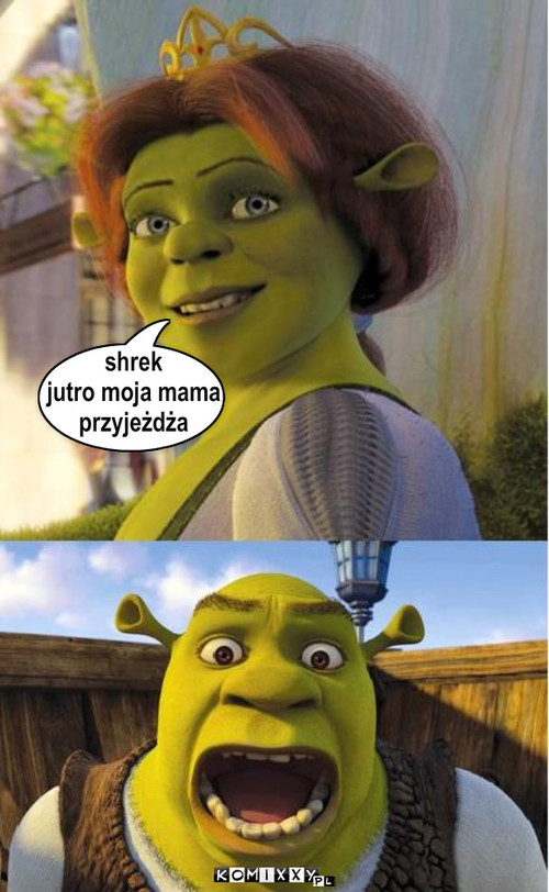 Teściowa – shrek
jutro moja mama
przyjeżdża 