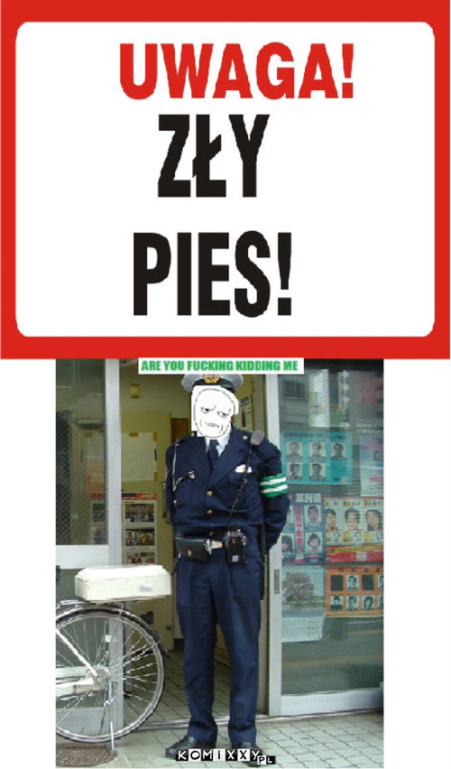 Zły pies –  