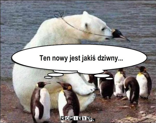 kamóflasz – Ten nowy jest jakiś dziwny... 