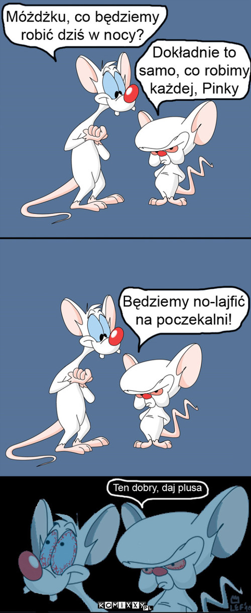 Pinky i Mózg –  