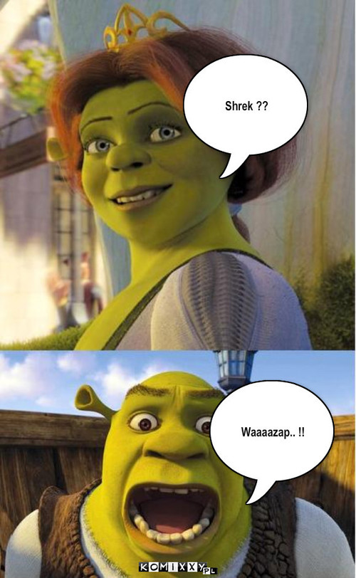 Shrek ??  –  