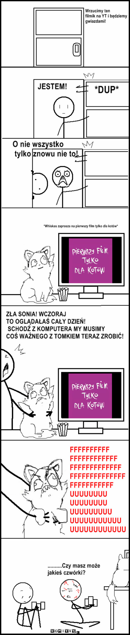 Kot reaktywacja –  