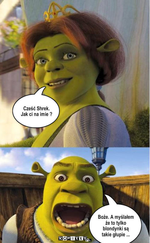 Jak ci na imie Shrek. ? – Cześć Shrek. Jak ci na imie ? Boże. A myślałem że to tylko blondynki są takie głupie ... 