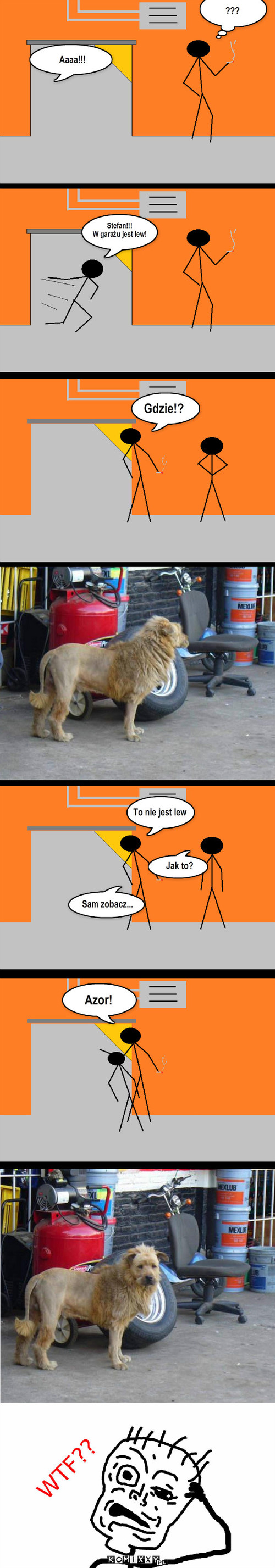Lew w garażu – Aaaa!!! ??? Stefan!!!
W garażu jest lew! Gdzie!? To nie jest lew Sam zobacz... Jak to? Azor! 