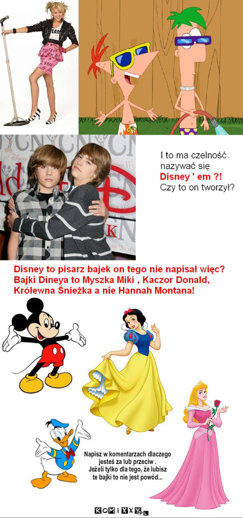 Disney – Napisz w komentarzach dlaczego 
jesteś za lub przeciw .
Jeżeli tylko dla tego, że lubisz  
te bajki to nie jest powód... 