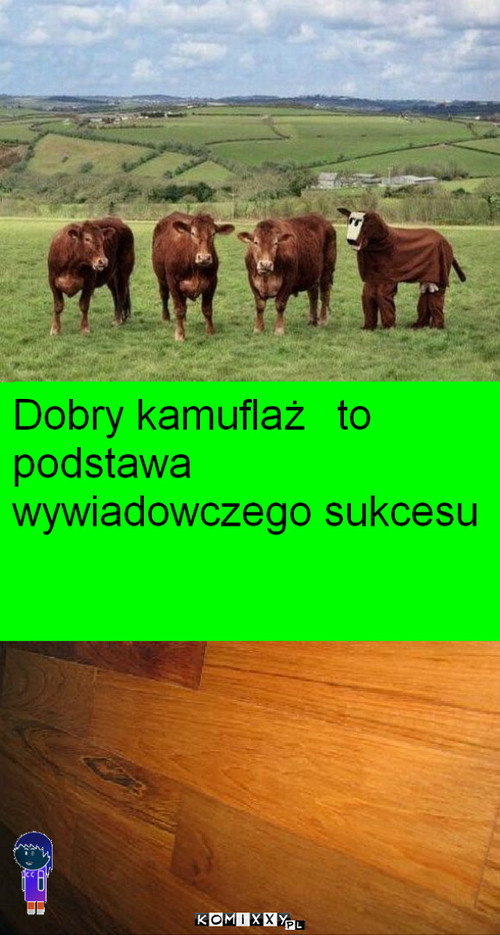 Kamuflaż –  