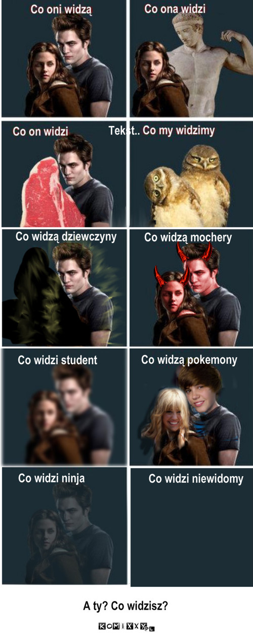 Zmierzch – Co widzą dziewczyny Co widzą mochery Co widzi student Co widzą pokemony Tekst.. Co widzi ninja Co widzi niewidomy A ty? Co widzisz? 