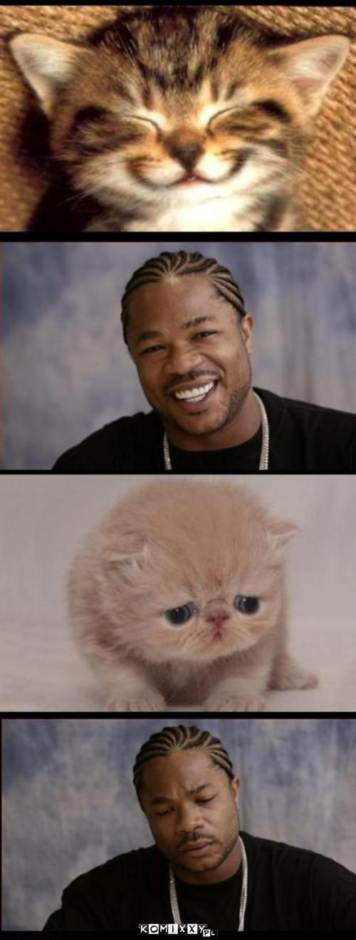 X-zibit i kotek –  