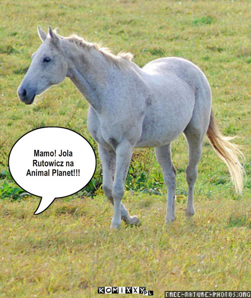 Jola – Mamo! Jola Rutowicz na Animal Planet!!! 