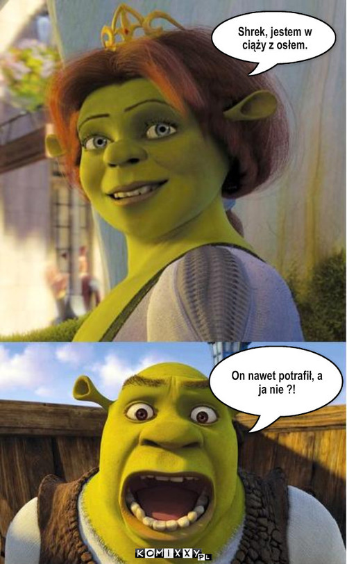 Ciąża – Shrek, jestem w ciąży z osłem. On nawet potrafił, a ja nie ?! 