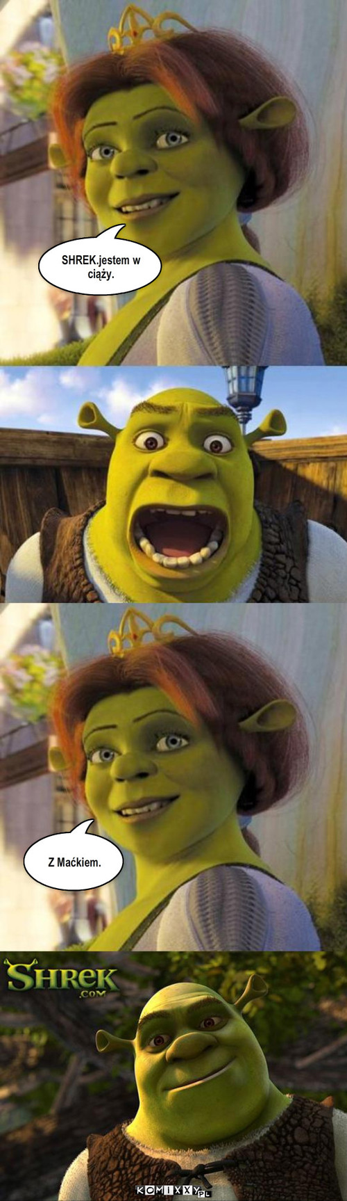 Ciąża – SHREK.jestem w ciąży. Z Maćkiem. 