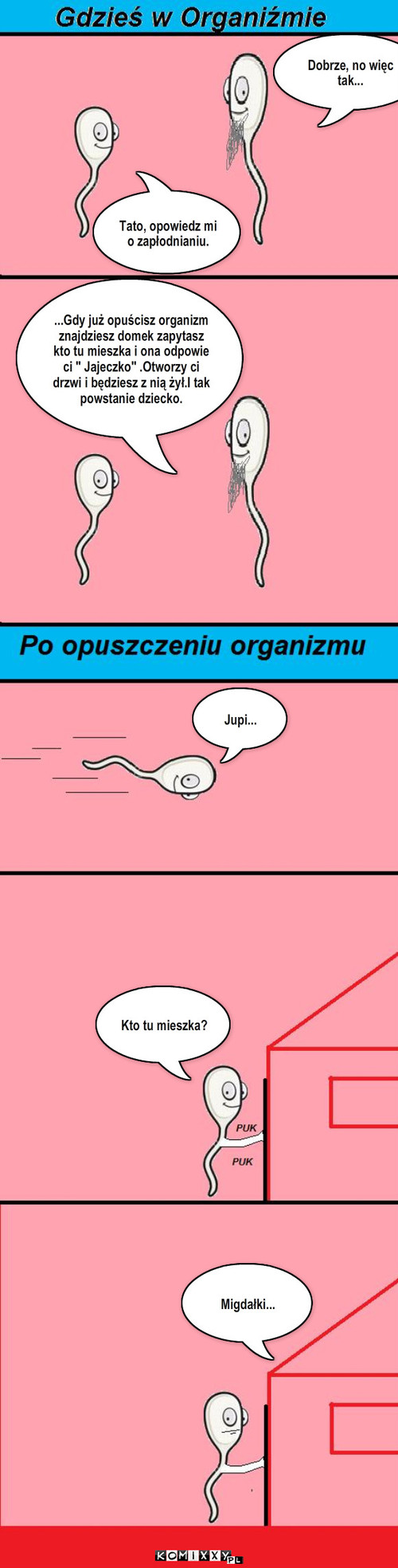 Zapłodnianie – Tato, opowiedz mi o zapłodnianiu. Jupi... Kto tu mieszka? Migdałki... Dobrze, no więc tak... ...Gdy już opuścisz organizm  znajdziesz domek zapytasz kto tu mieszka i ona odpowie ci 