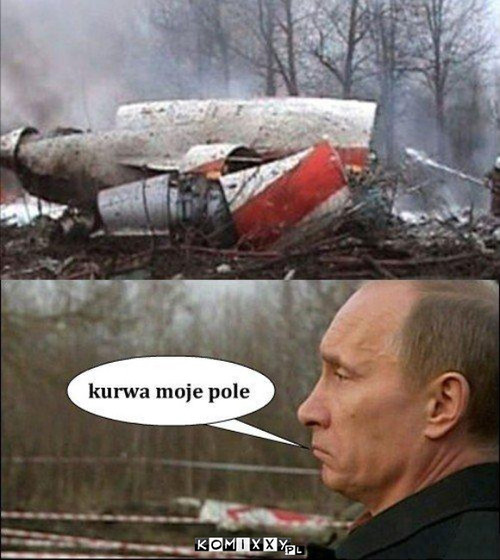 Moje pole –  