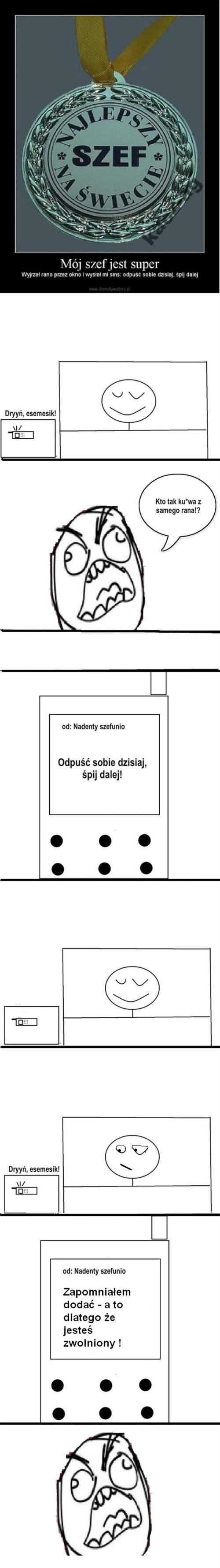 Wspaniały szef c.d. –  