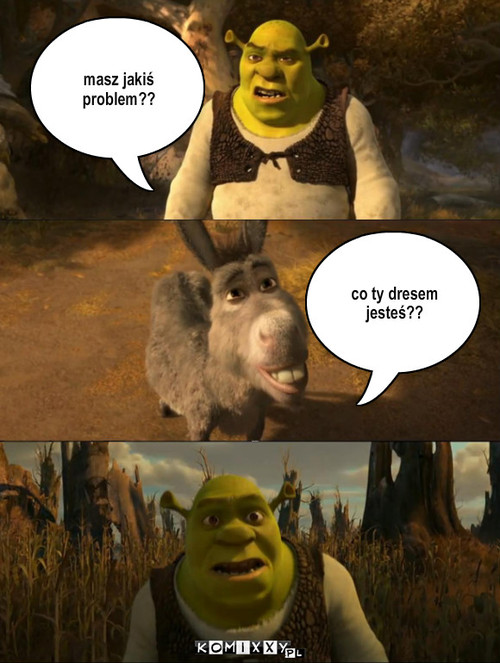 shrek jako dres – masz jakiś problem?? co ty dresem jesteś?? 