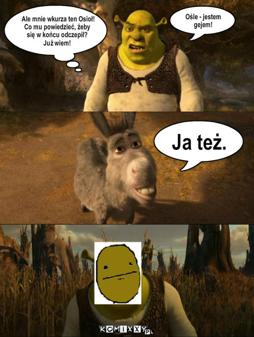 Shrek i Osio? – Ośle - jestem gejem! Ja też. Ale mnie wkurza ten Osioł! Co mu powiedzieć, żeby się w końcu odczepił? Już wiem! 