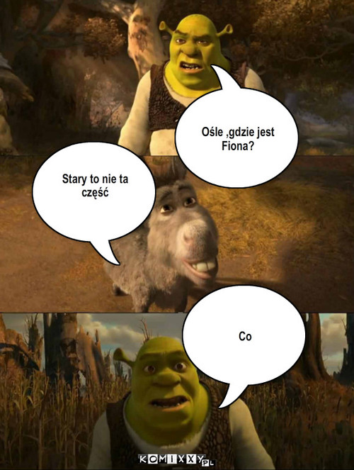 shrek – Stary to nie ta część Co Ośle ,gdzie jest Fiona? 