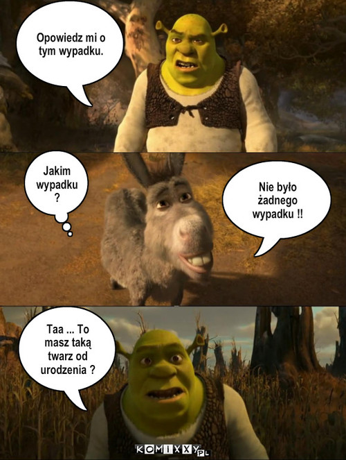 Shrek - wypadek xD – Opowiedz mi o tym wypadku. Jakim wypadku ? Nie było żadnego wypadku !! Taa ... To masz taką twarz od urodzenia ? 