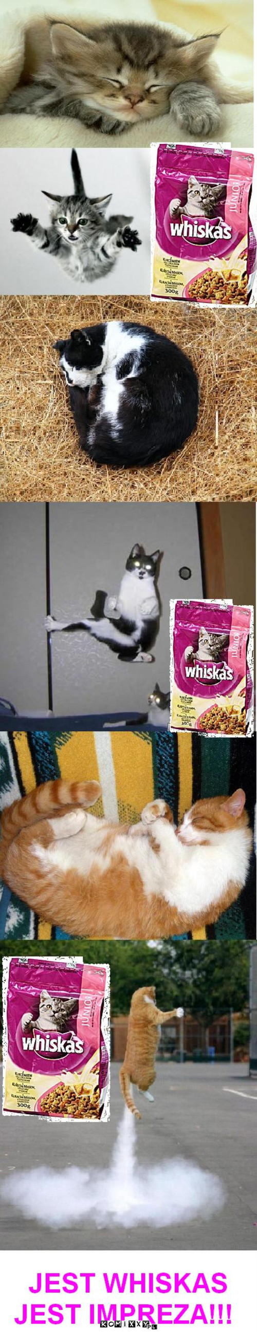 Whiskas –  