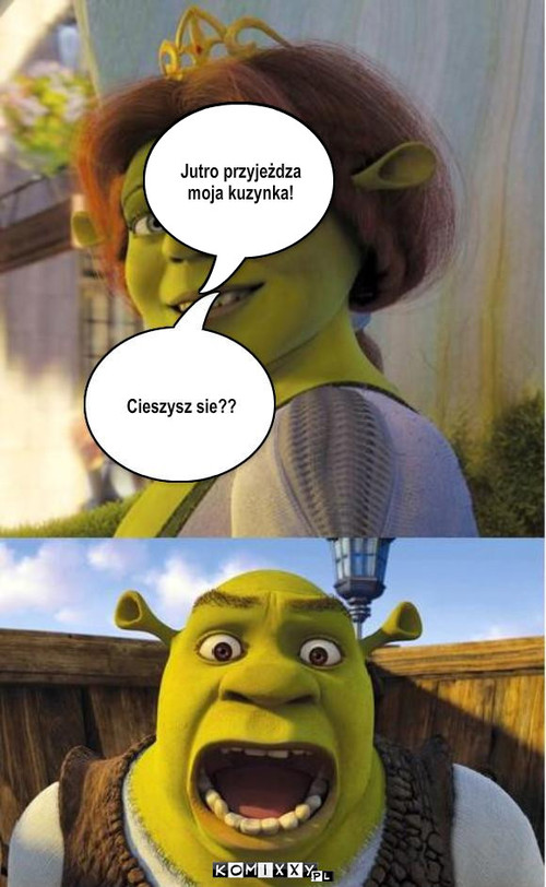 Shrek – Jutro przyjeżdza moja kuzynka! 