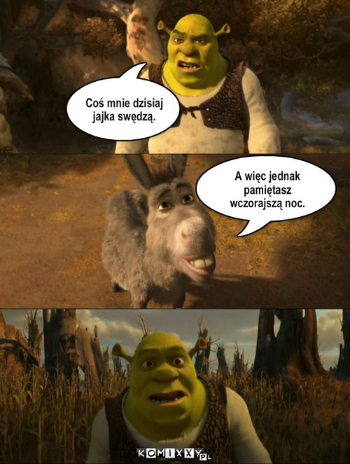 Shrek Jajka – Coś mnie dzisiaj jajka swędzą. A więc jednak pamiętasz wczorajszą noc. 