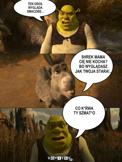 SHREK – TEN OSIOŁ WYGLĄDA SMACZNIE... SHREK MAMA
CIĘ NIE KOCHA?
BO WYGLĄDASZ     
JAK TWOJA STARA!.. CO K*RWA 
TY SZMAT*O 