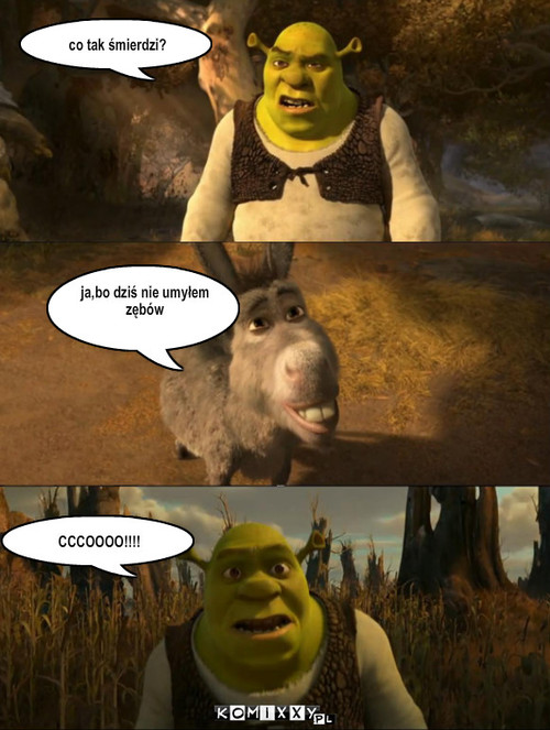 SHREK – co tak śmierdzi? ja,bo dziś nie umyłem zębów CCCOOOO!!!! 