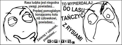 Sugestia – Rasa ludzka jest niegodna 
uwagi, powiadasz... Prędzej pomogłabym 
konającemu kotu
niż człowekowi, 
powiadasz... Zwierzę > człowiek,
powiadasz... TAŃCZYĆ Z RYSIAMI DO LASU TO WYРIERDALAJ 