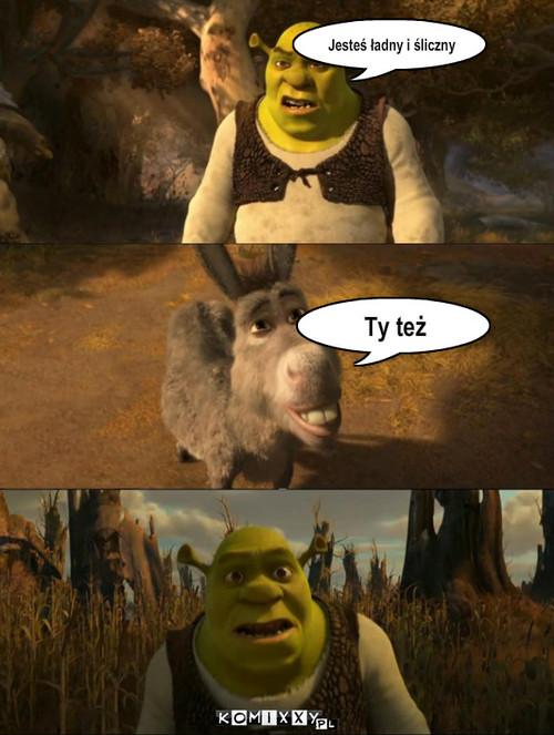 Shrek – Jesteś ładny i śliczny Ty też 