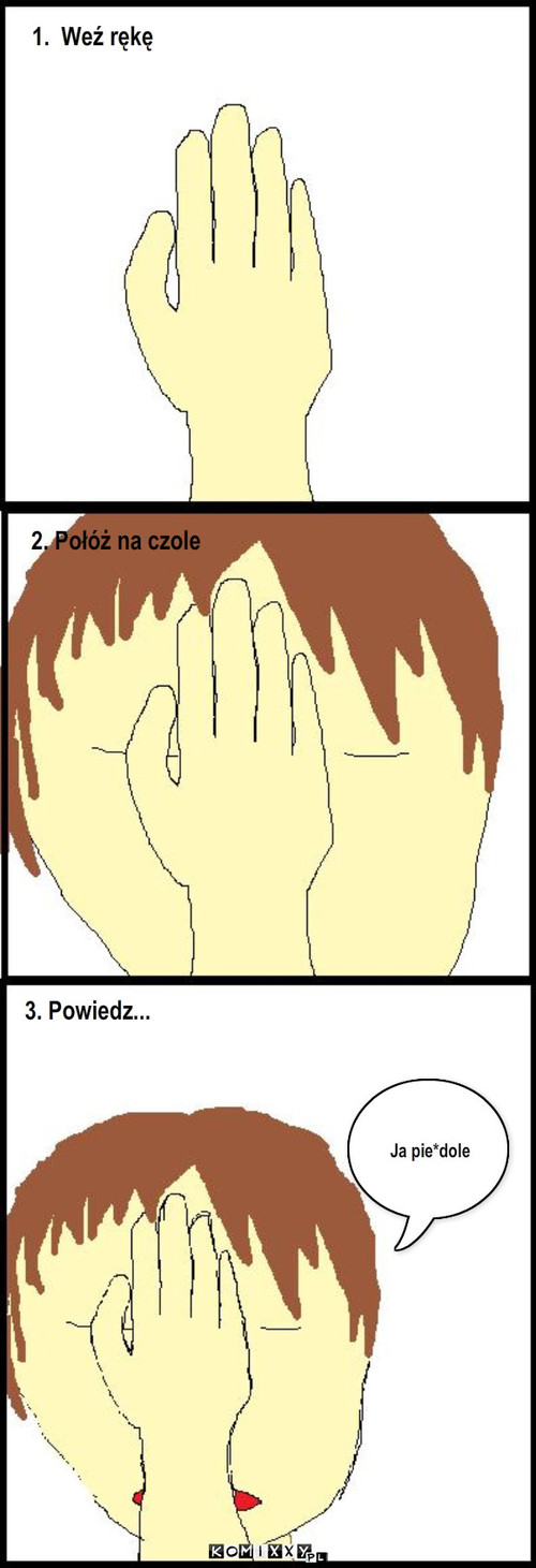 Zrób to sam – 1.  Weź rękę 2. Połóż na czole 3. Powiedz... Ja pie*dole 