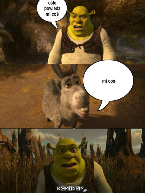 shrek & osioł – mi coś ośle powiedz mi coś 