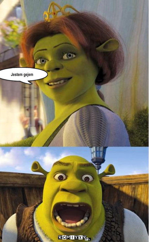 Shrek –  