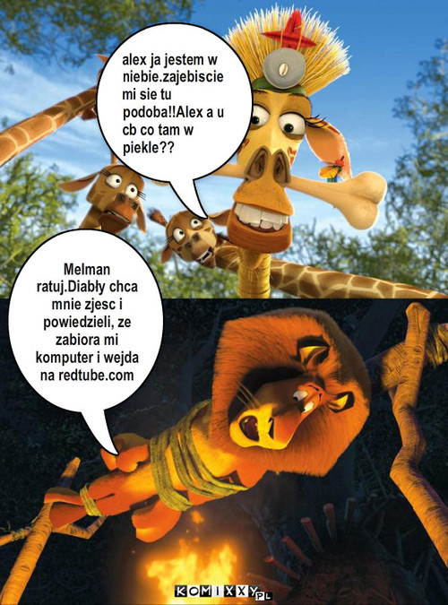 Madagaskar – alex ja jestem w niebie.zajebiscie mi sie tu podoba!!Alex a u cb co tam w piekle?? Melman ratuj.Diabły chca mnie zjesc i powiedzieli, ze zabiora mi komputer i wejda  na redtube.com 